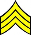 The Sergeants' Academy - ONLINE