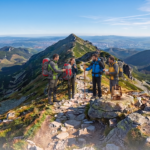 New Hikers On The Trail